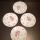 Series of four Dresden porcelain plates