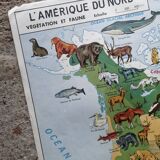 Vintage school map mdi North America-Asia Wildlife