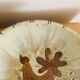 Large glazed ceramic dish by J.G. Picard, 1960s-70s.