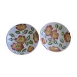 Set of 2 plates Moulin des loups model Ontario