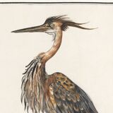Small poster on the Heron, after an old engraving from 1610.