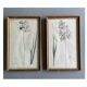 Set of 2 antique botanical drawings, prints, 1st half 20th century