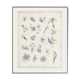 Orchidée, Lys, Antique Botanical Engraving, Various Flowers, Fine Details, Botanical Plate 6, 1830,