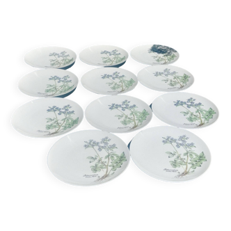 Lot of eleven flat serving plates in fine porcelain from the winterling faiencerie advertising