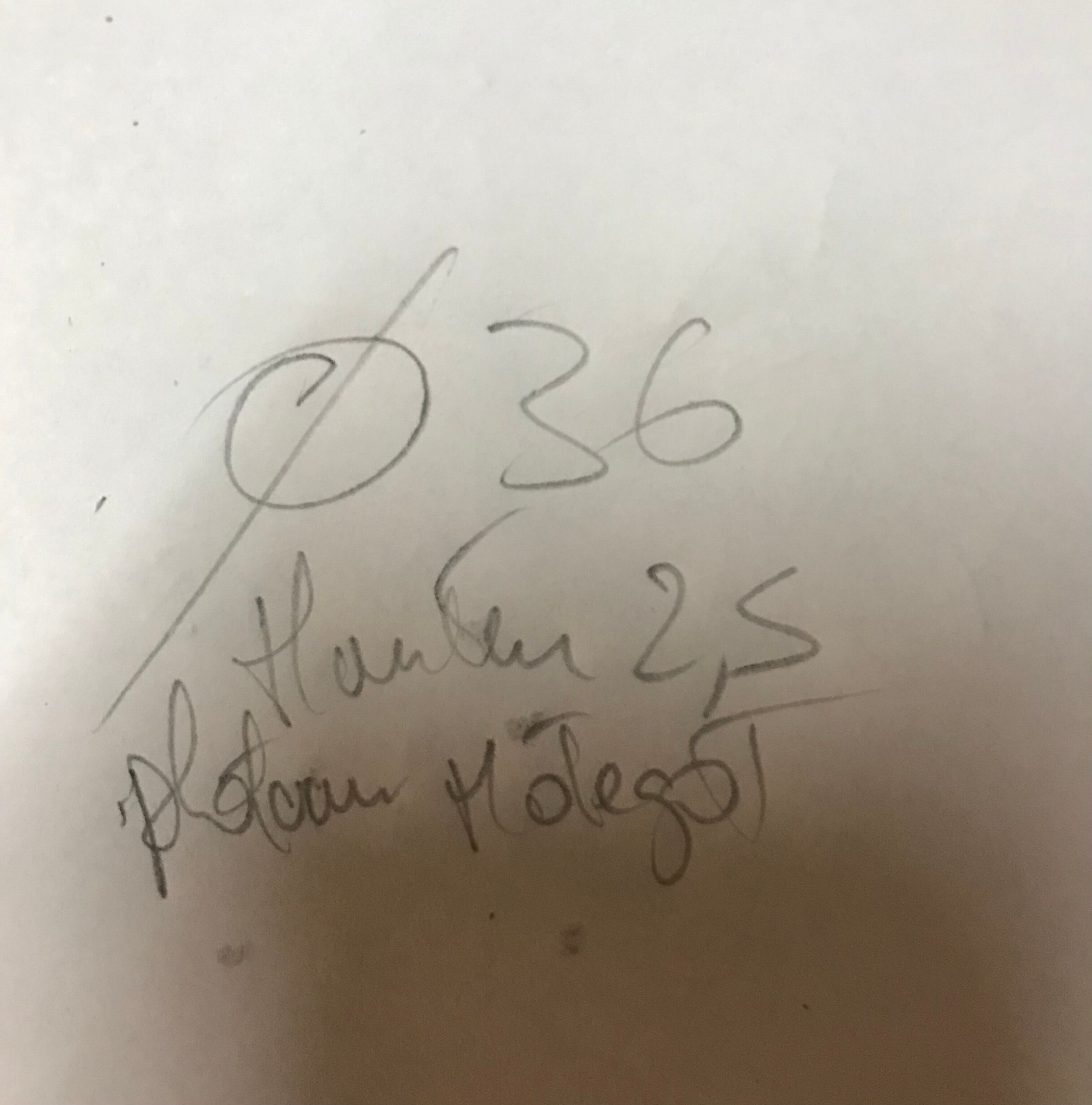 Tray Mathieu Mategot 1950s