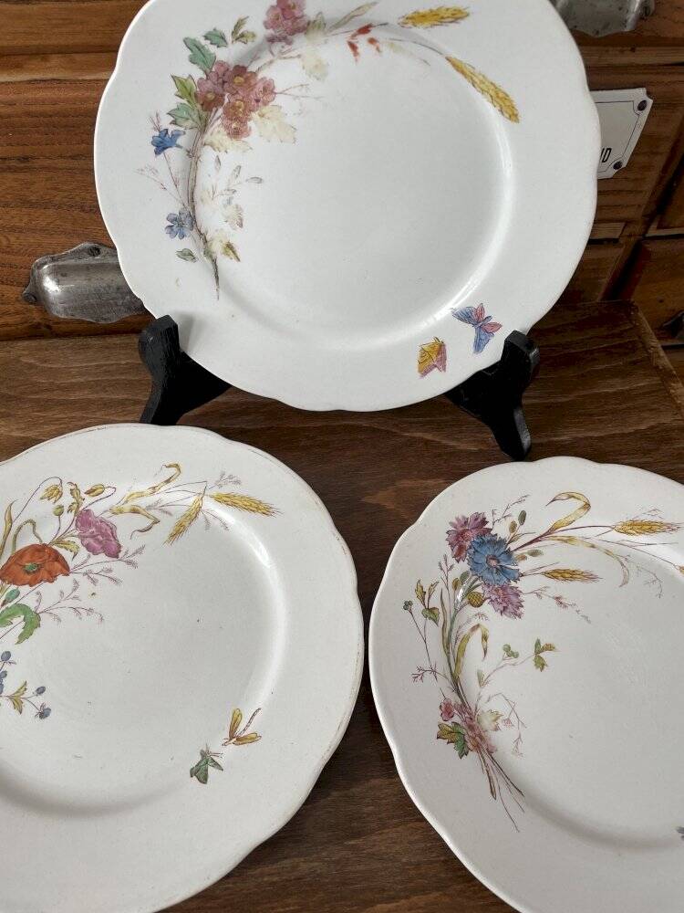 Set of 3 antique Longchamp ironstone dinner plates.