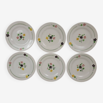 6 vintage flower plates Salins