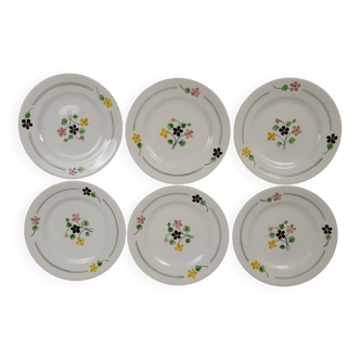 6 assiettes à Fleurs vintage Salins