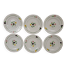 6 vintage flower plates Salins