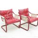 Vintage Tubular Chairs, 1970s