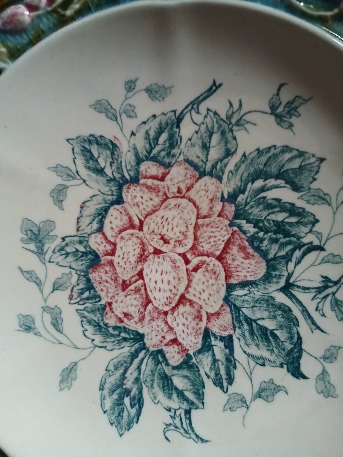 5 assiettes anciennes majolique Longchamp 