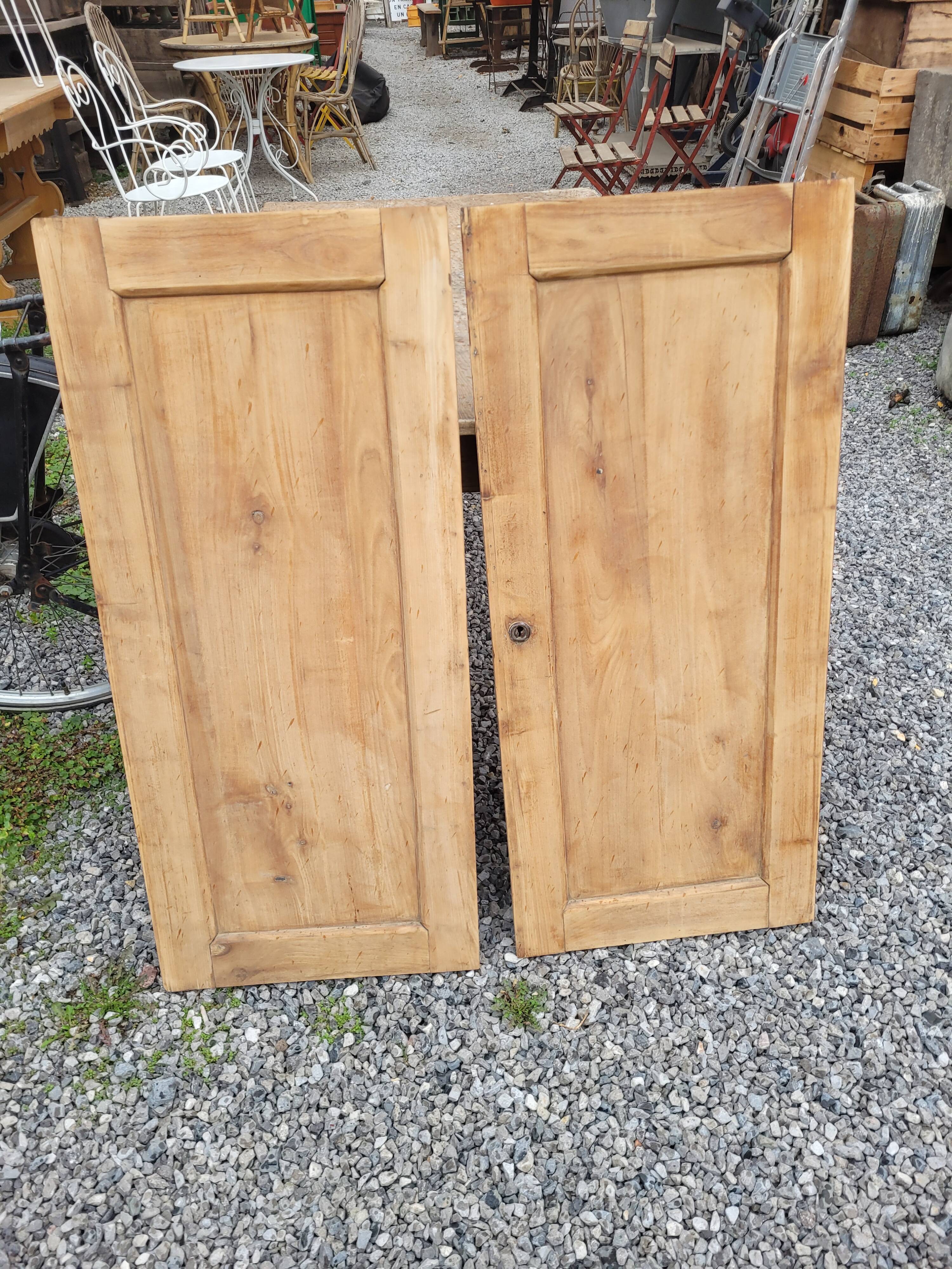 Paire de portes ancienne en merisier