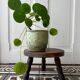 Tabouret tripode vintage en bois