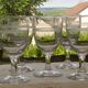 Lot de 5 verres à eau bistrot anciens en verre.