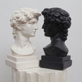 David head in white plaster