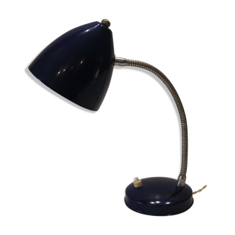 Flexible blue light