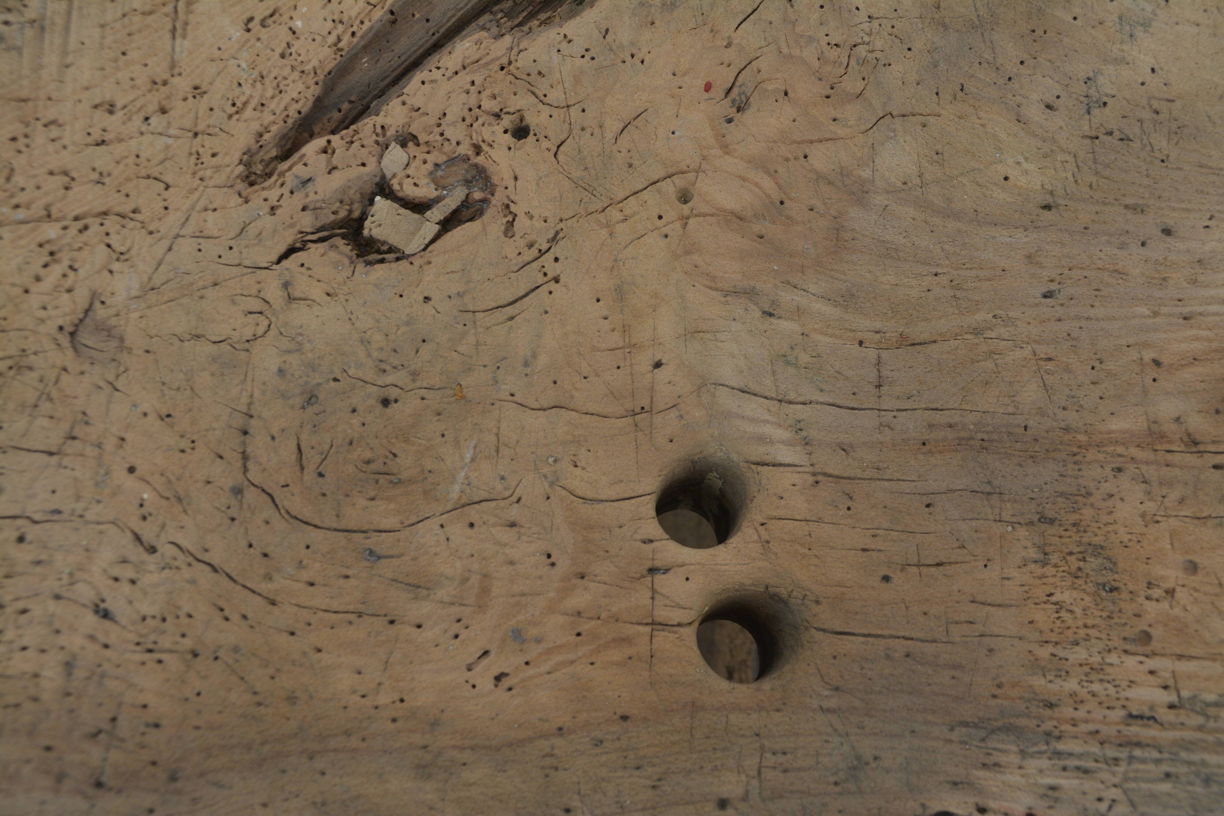 Oak establishment from the 30s