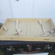 Vintage trunk suitcase