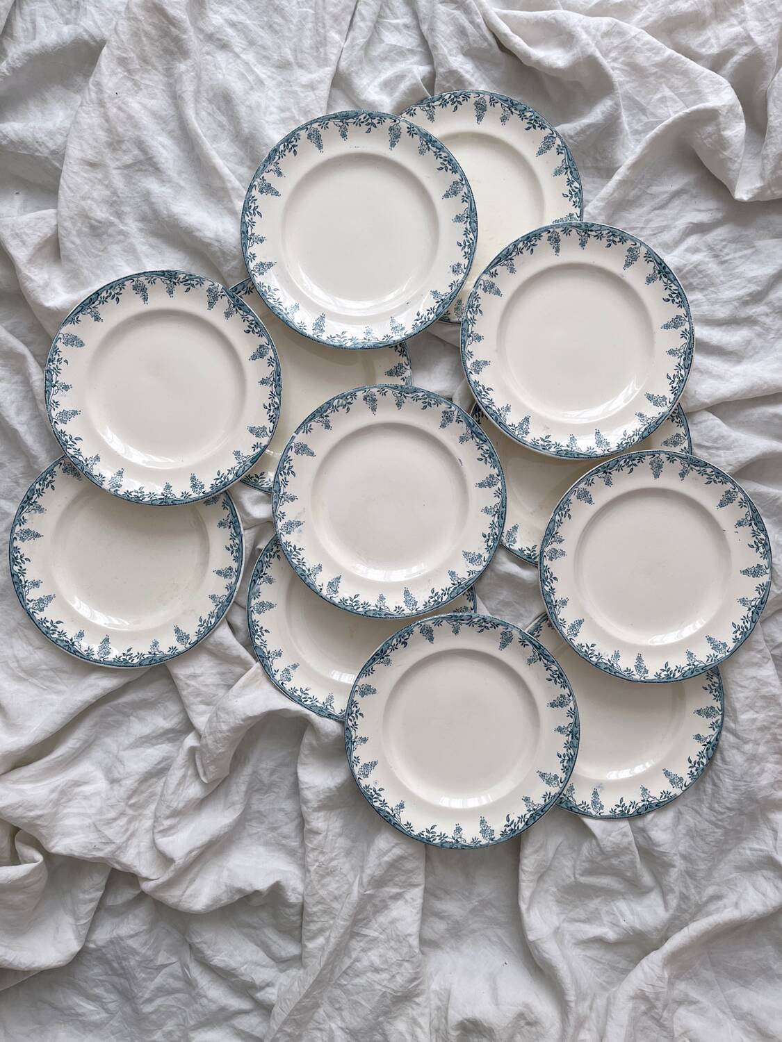 12 ironstone dinner plates “Florence” Longwy