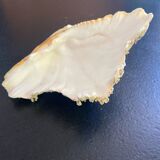 Empty shell stoup pocket