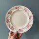 Série de 12 assiettes plates 1900 Terre de Fer en faïence de Longwy