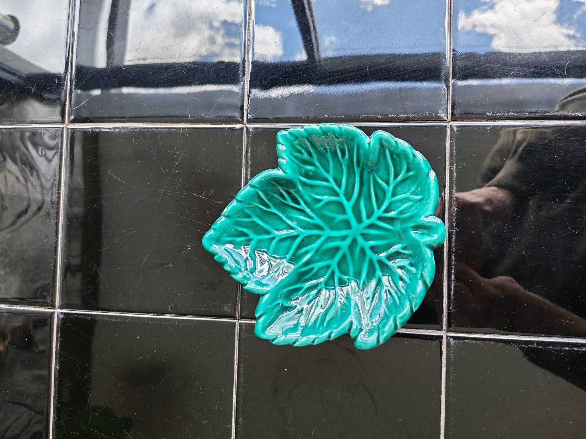 Cabbage leaf