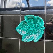 Cabbage leaf