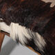 Cowhide Camel Saddle Stool