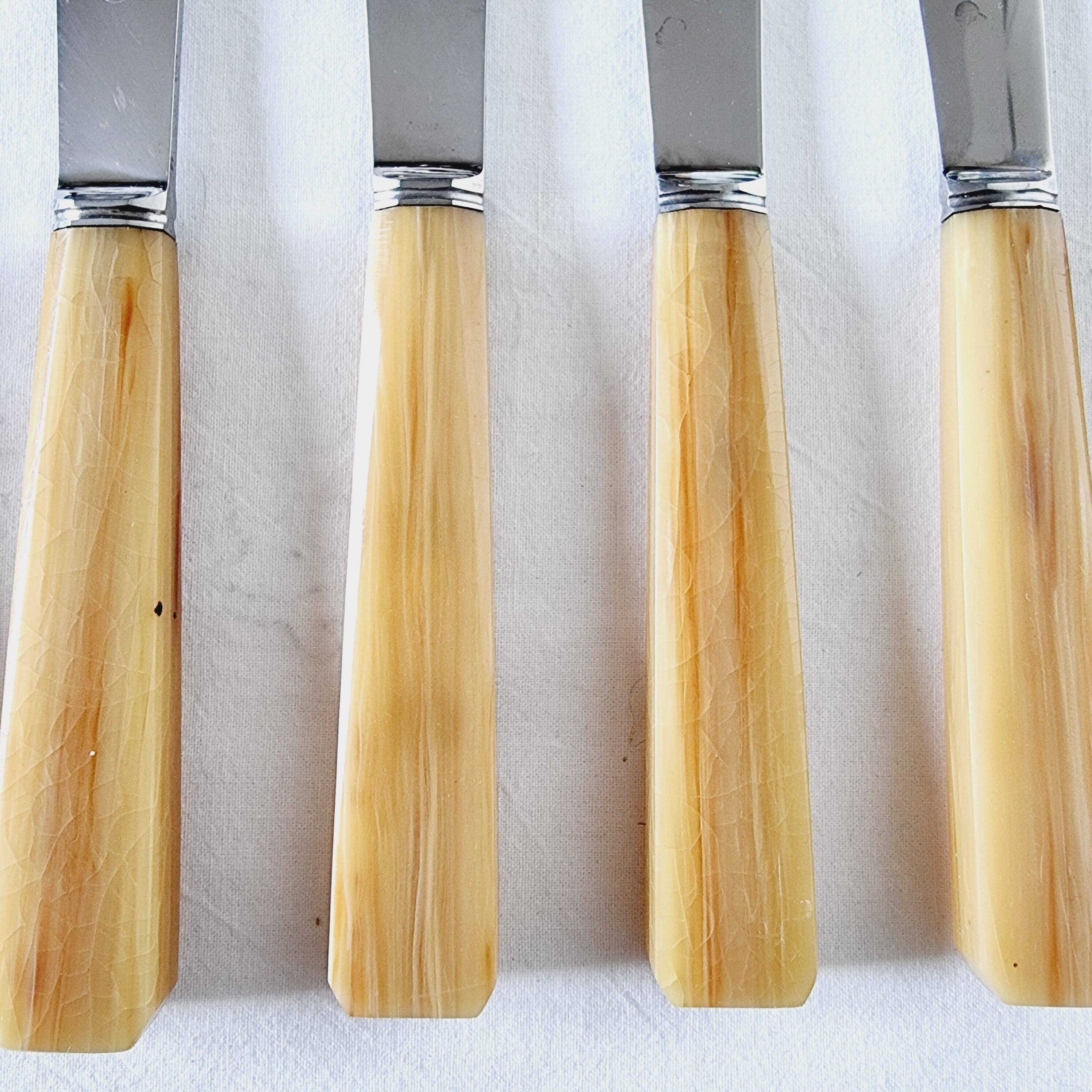 10 table or lunch knives in stainless steel and Messina from the 70s New