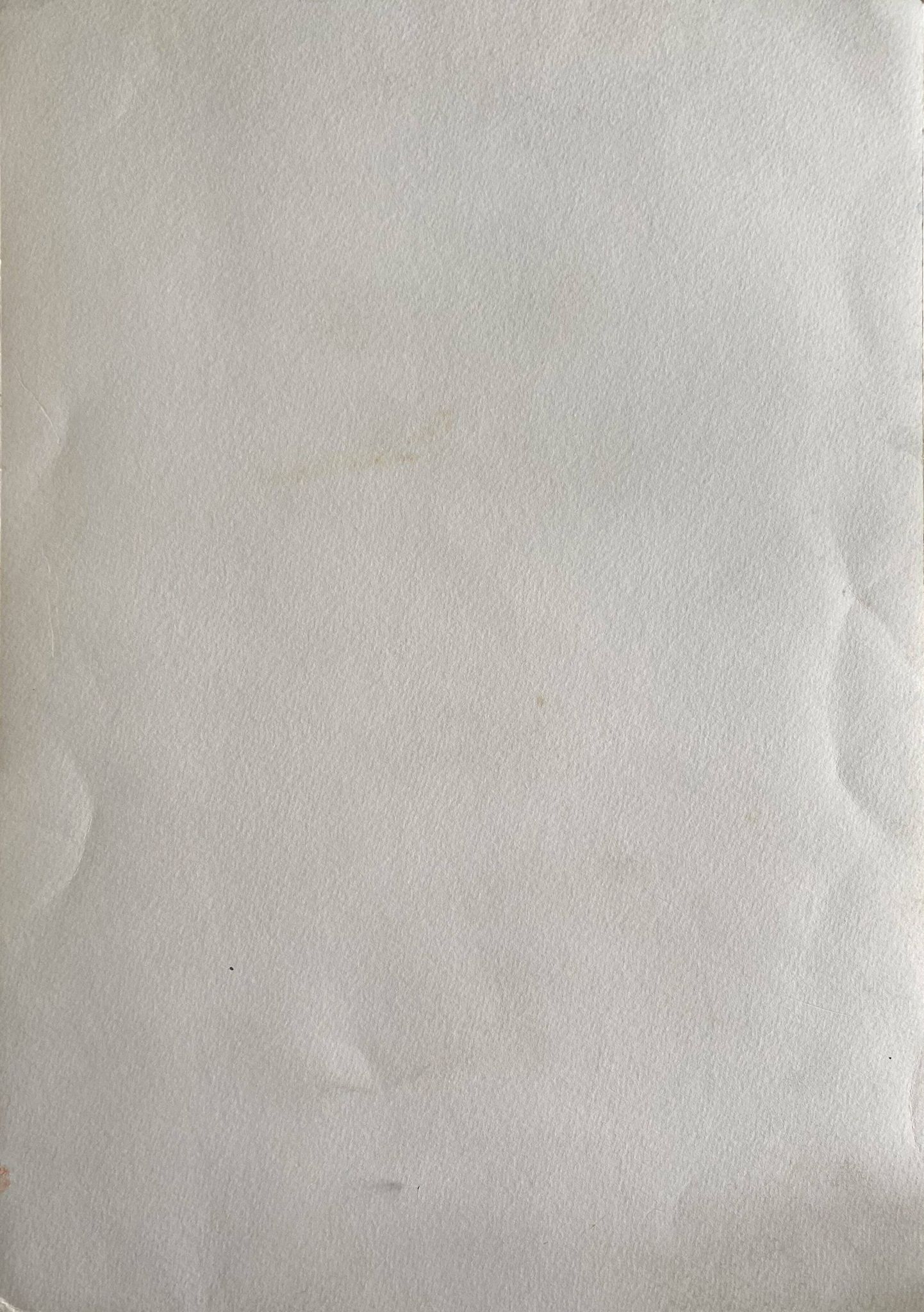 Tableau "Le Martin pêcheur" gouache naturaliste signé