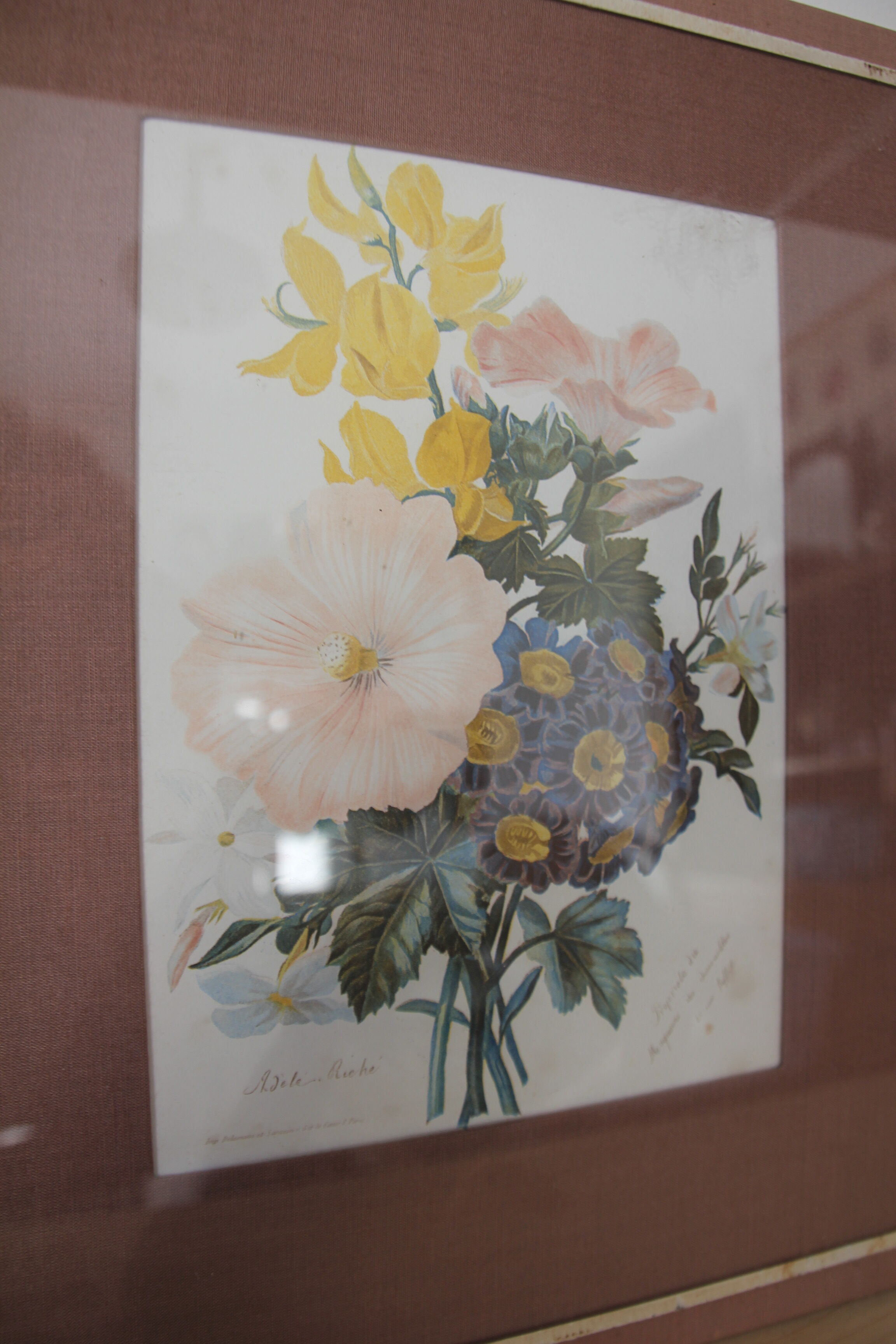 Engraving of flowers