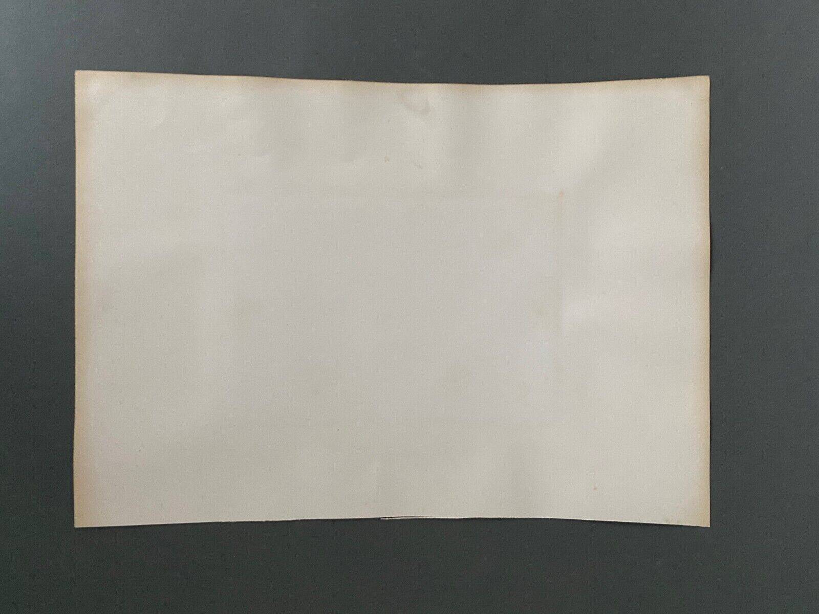 Photo Stairs of the Vienna Opera 19th century albumen laminated cardboard