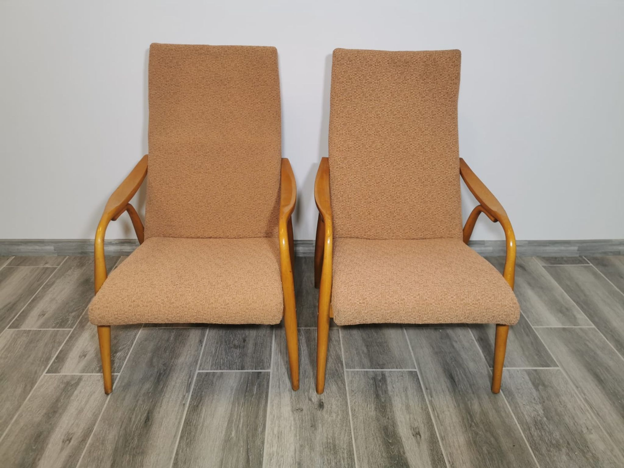 Lounge chairs by Antonin Suman