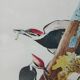 Lithograph by J. Audubon "Piteated Woodpecker" framed, 1950s/1960s