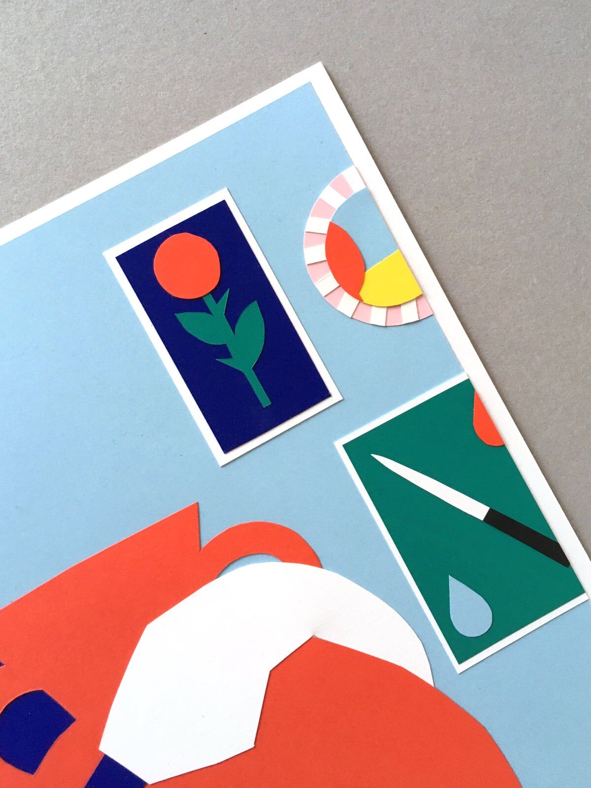 The story of the rose and the knife