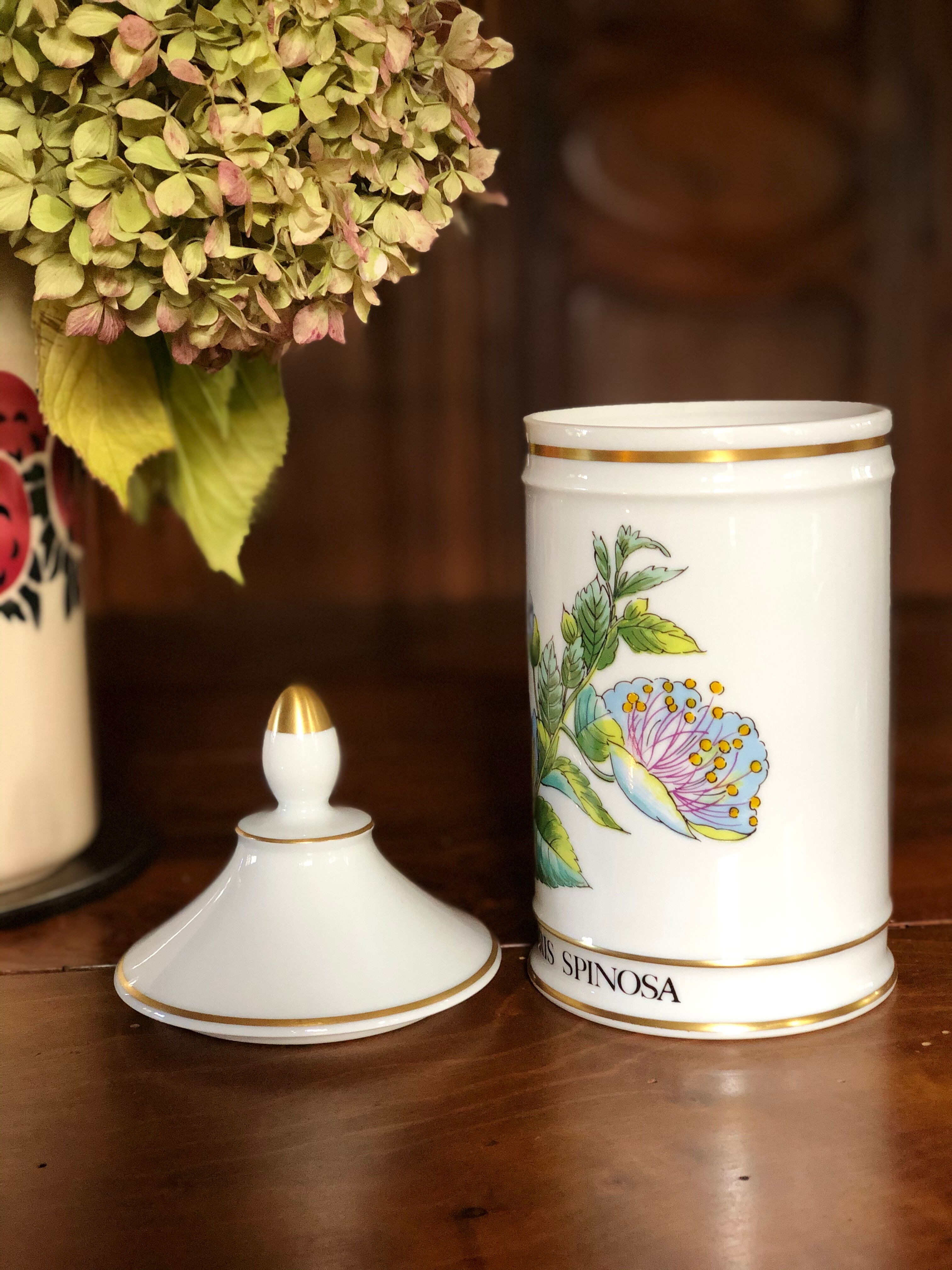 Pharmacy pot "Capparis spinosa"