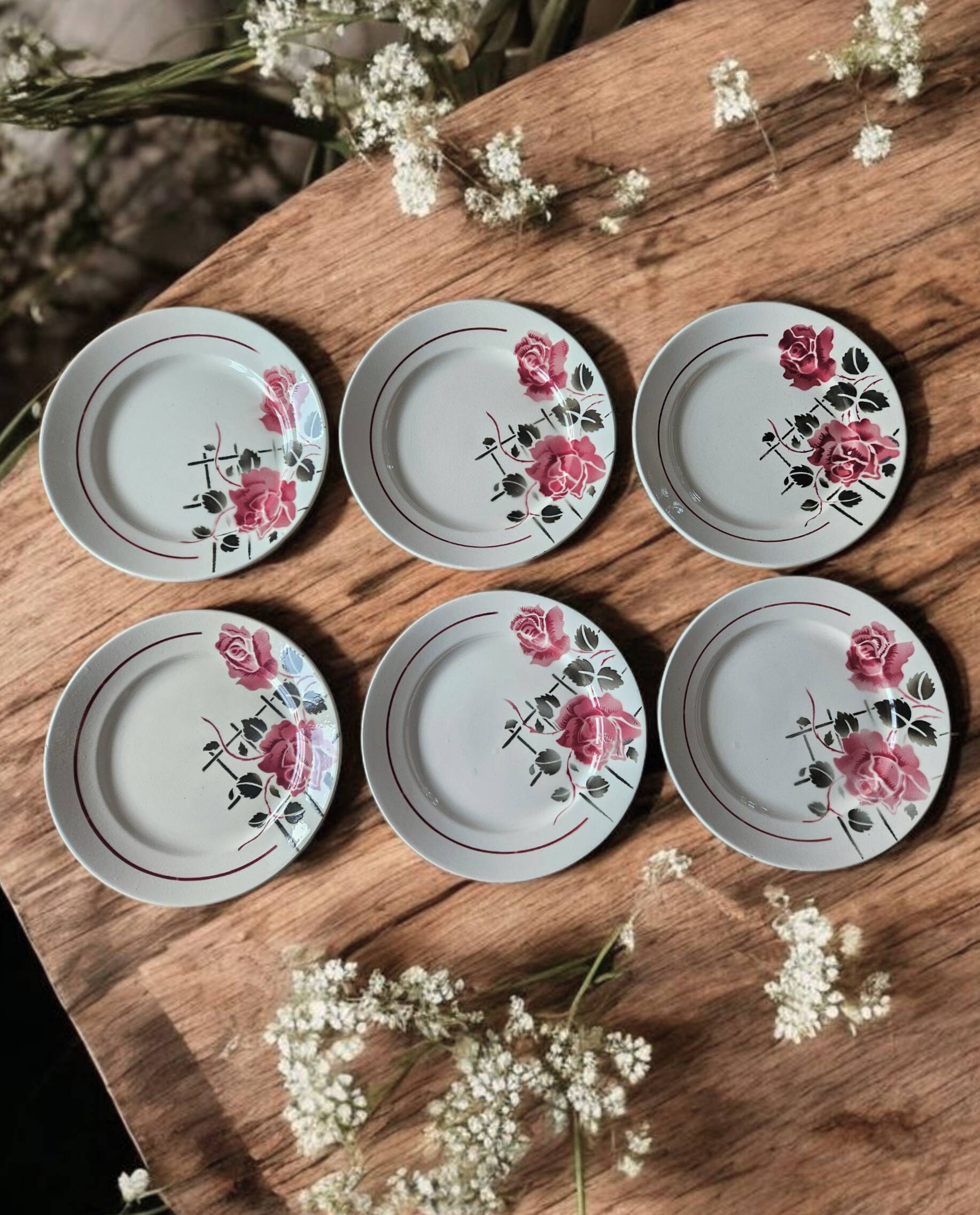 6 antique flat plates in faience from BADONVILLER