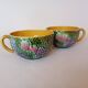Salins les Bains barbotine breakfast cups