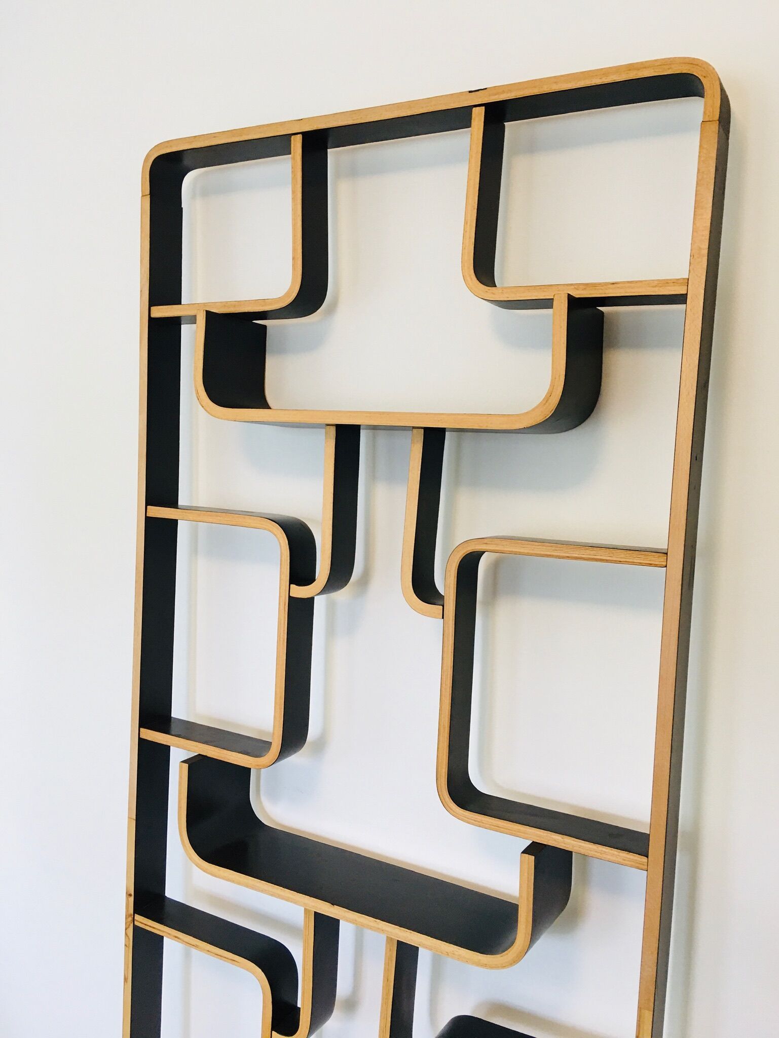Mid-Century Room Divider by Ludvik Volak for Drevopodnik Holesov, 1960s