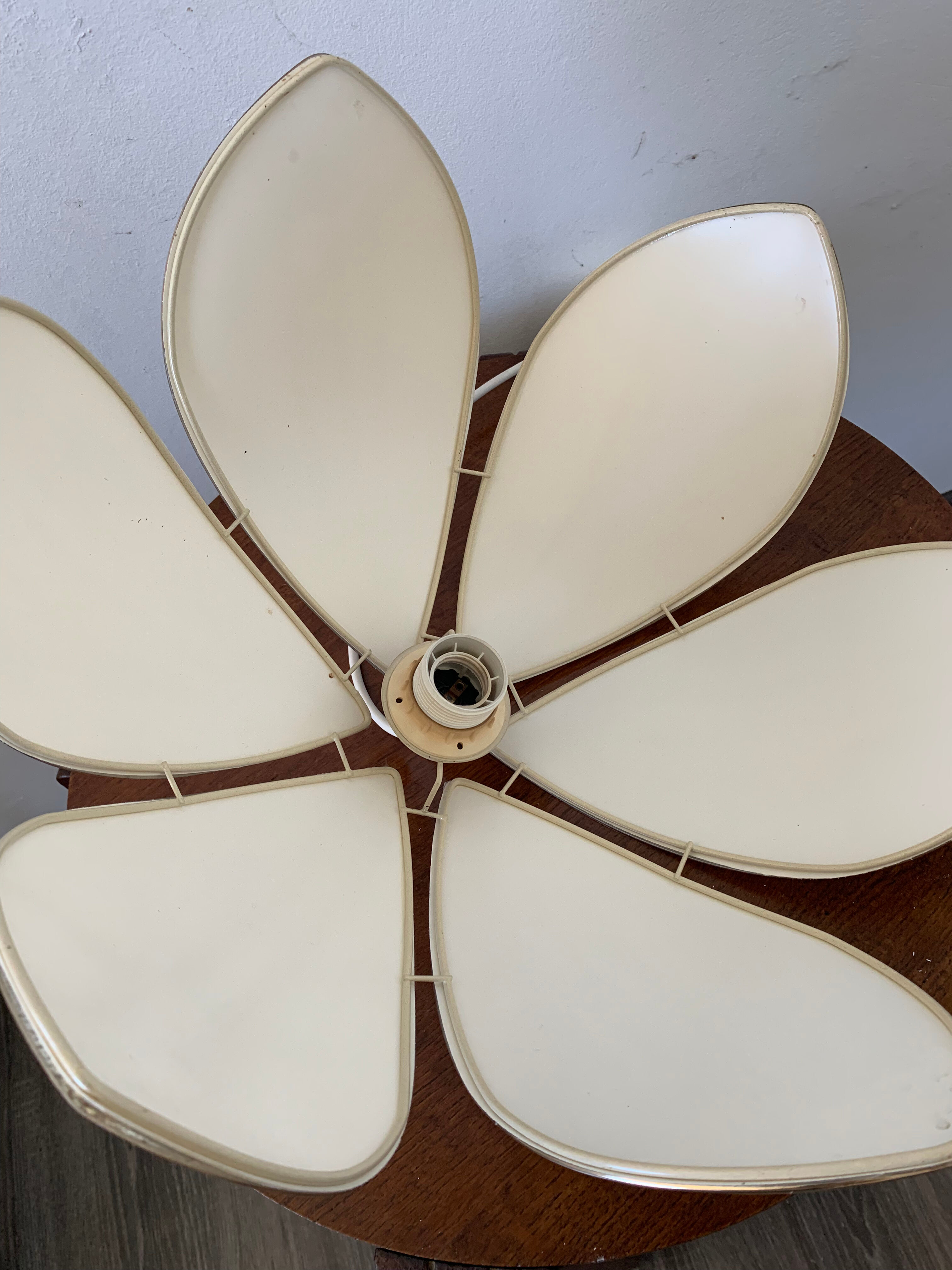 Lotus flower suspension