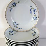 10 Bernardaud Limoges porcelain forget-me-not fruit dessert bowls