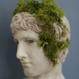 Roman head in waxed plaster