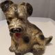 Tirelire vintage chien