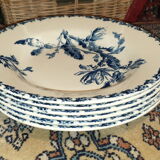 Plates gien model Cactus hollow