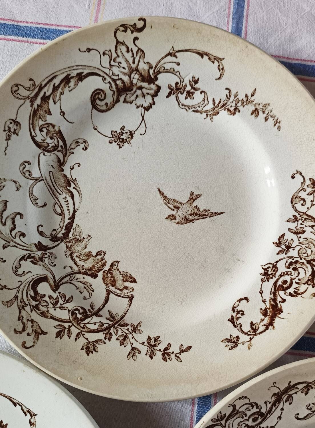 Brown bird flat plates