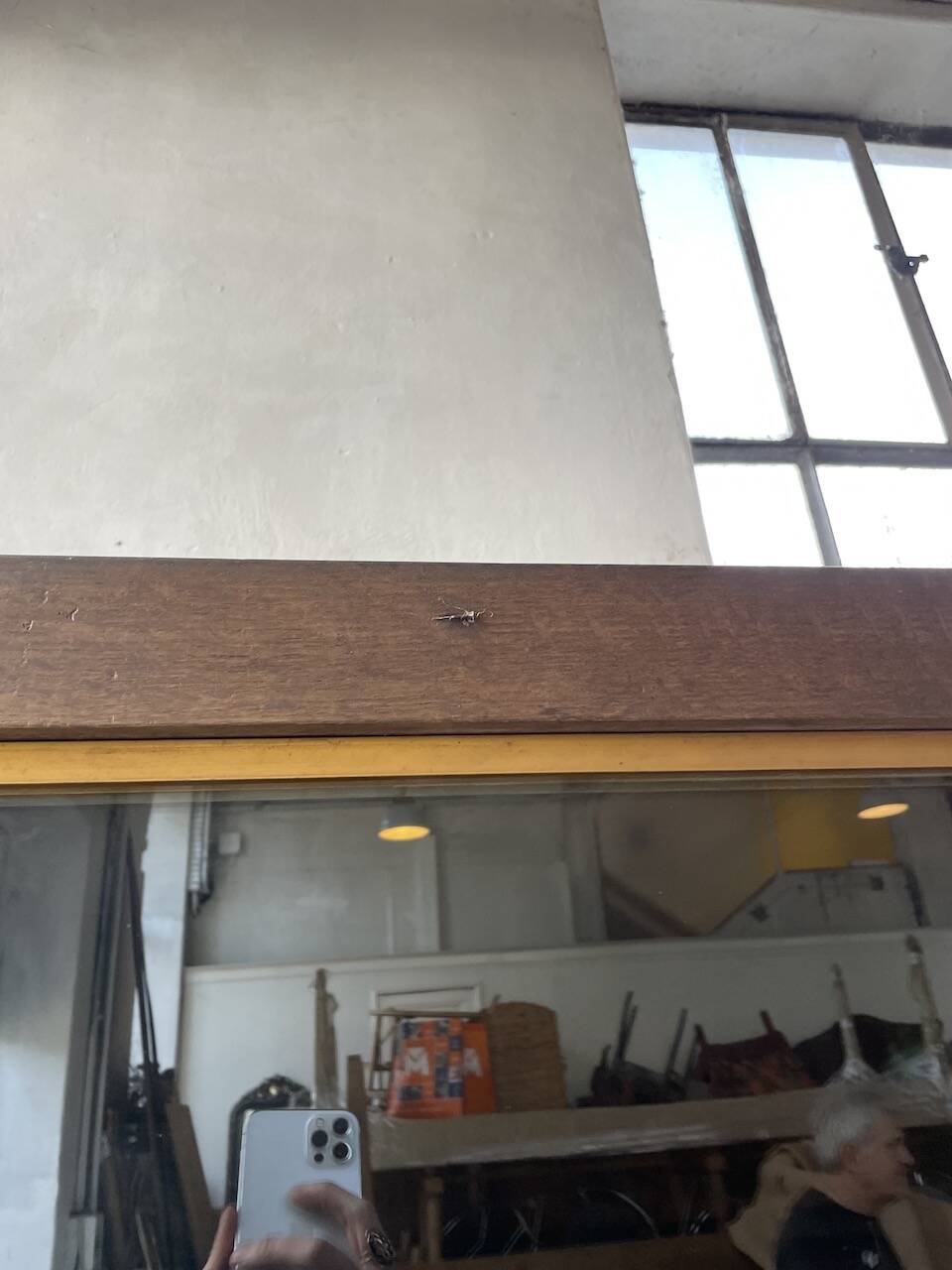 XXL oak display cabinet furniture