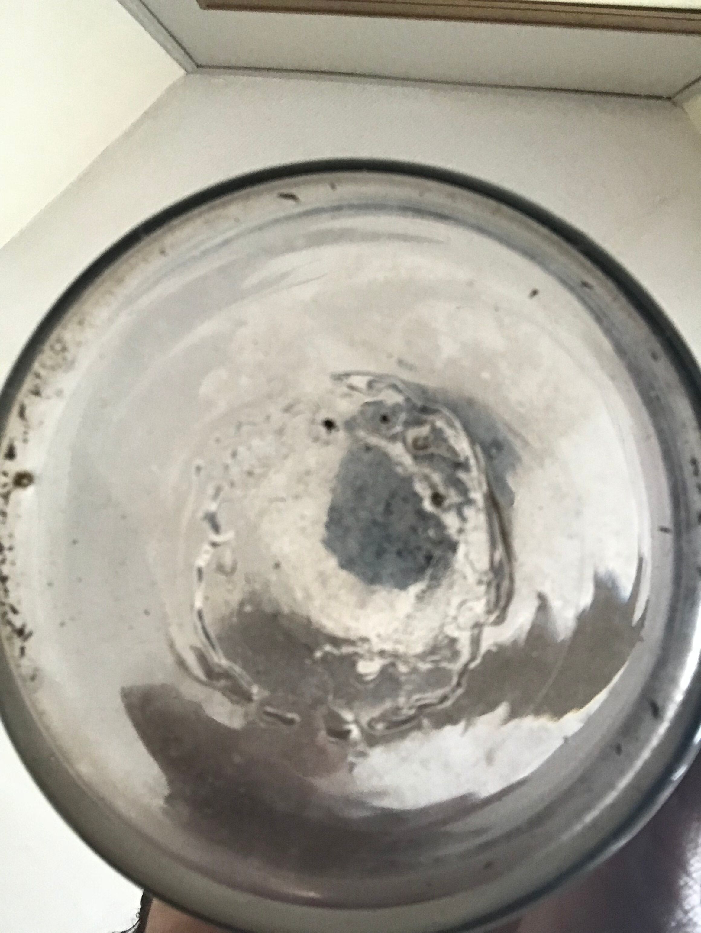Old bottle of pharmacy XIX