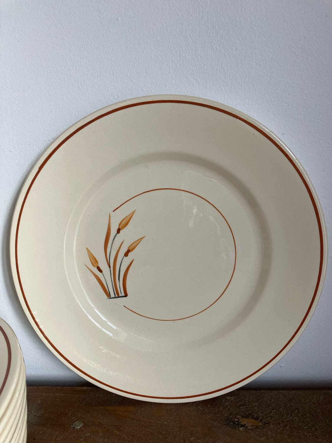 10 assiettes à dessert 