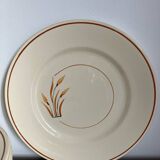 10 assiettes à dessert 