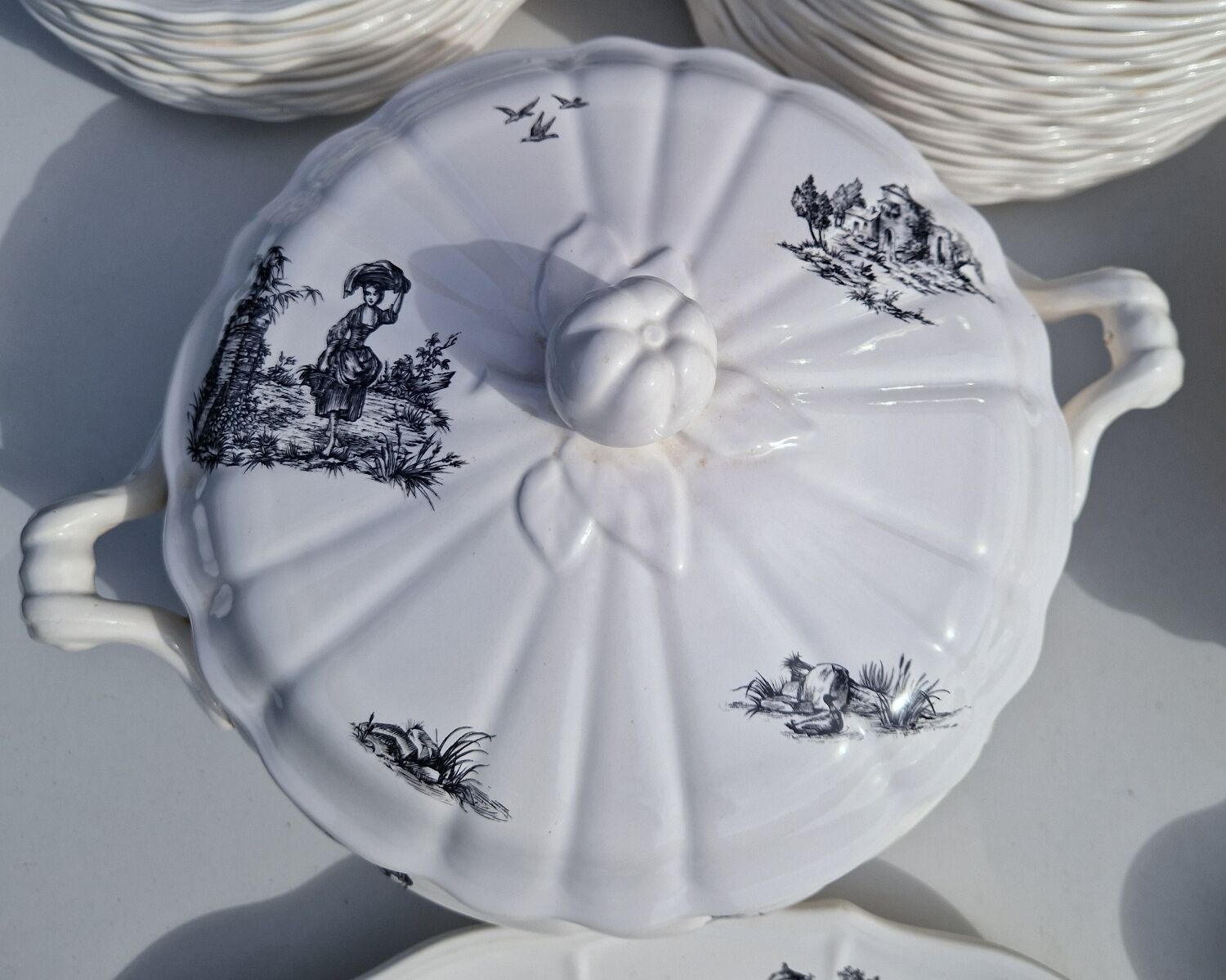 Salins earthenware table service model Chantal, 55 pieces.